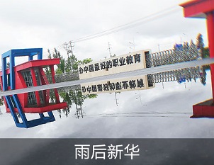 雨后新华