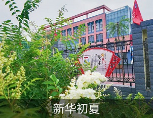 新华初夏